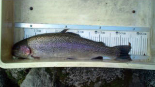 20120405161107