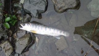 2012050314360000