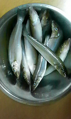 201208101120000