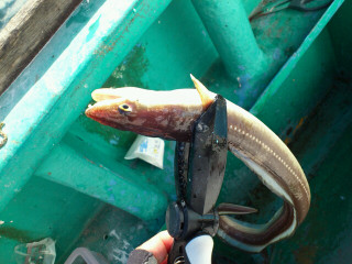 20130203115625