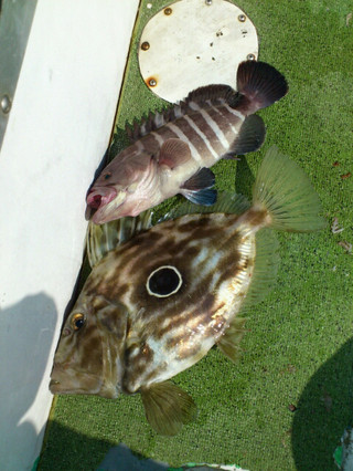 20130228051205