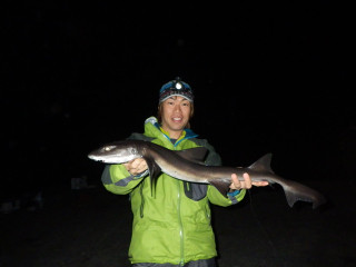 20130309_dochizame