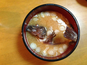 20130630200424