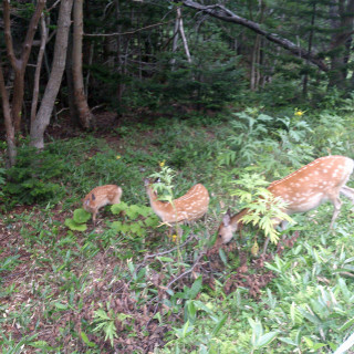 20130823161653_photo