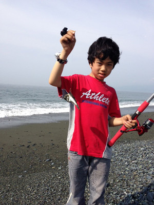 33oiso