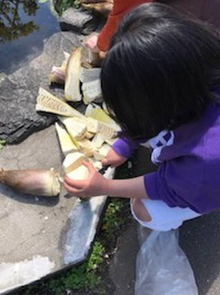 7_170501nagamasa_2