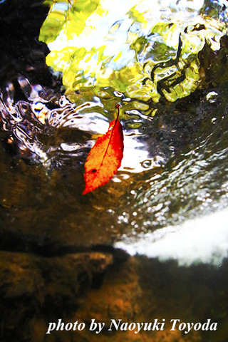 _34a7191fy