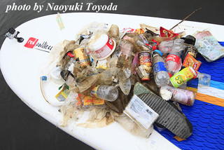 _mg_0066fy