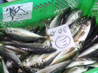 Aji1