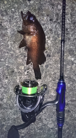 Aji_1_1