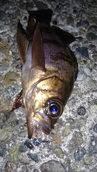 Aji_3_3