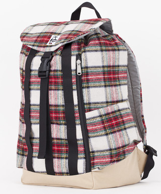 Back_pack_check_canvas