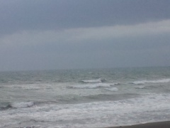 Beachimage_0302