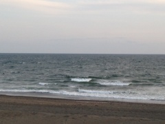 Beachimage_0316