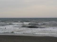 Beachimage_0323