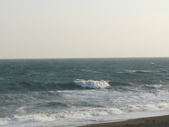 Beachimage_0427