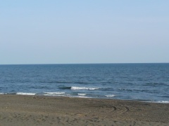 Beachimage_0518