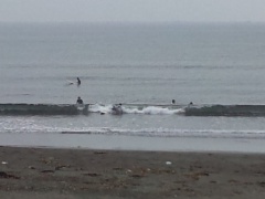 Beachimage_0702