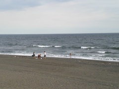 Beachimage_0720