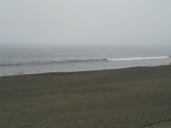 Beachimage_0727