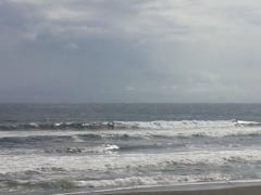 Beachimage_0806