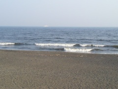 Beachimage_0810