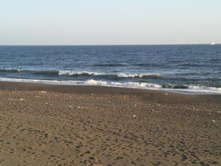 Beachimage_0921