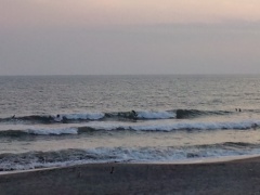 Beachimage_1008