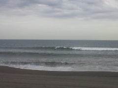 Beachimage_1013