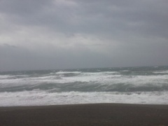 Beachimage_1015