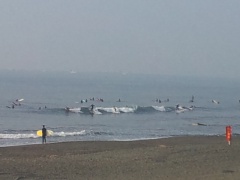 Beachimage_1105
