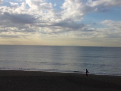 Beachimage_1126