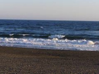 Beachimage_189 Beachimage_189