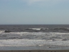 Beachimage_189