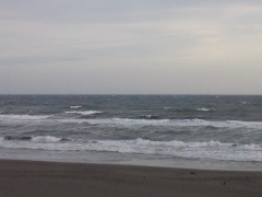 Beachimage_331 Beachimage_331