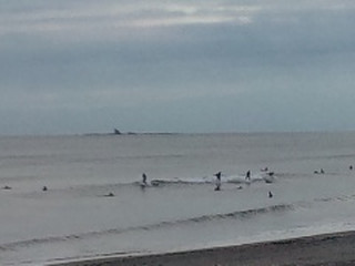 Beachimage_428