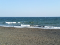 Beachimage_525