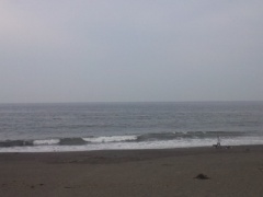 Beachimage_526