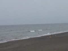 Beachimage_616