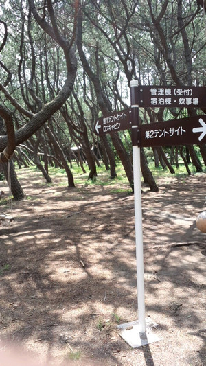Ca3i00170002