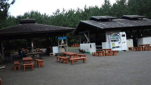 Ca3i00220001