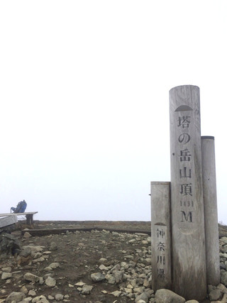 Dpp_7854