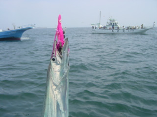 Dsc00728