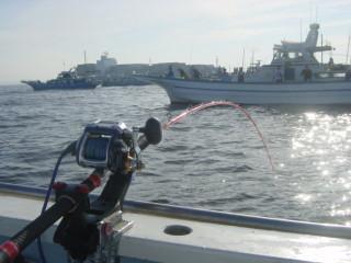 Dsc00785