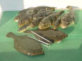 Dsc00894