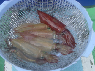 Dsc01000