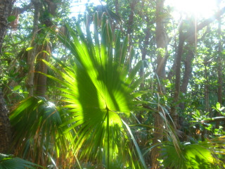 Dsc02019