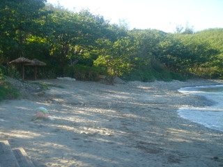 Dsc02040