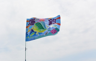 Dsc_6290_640