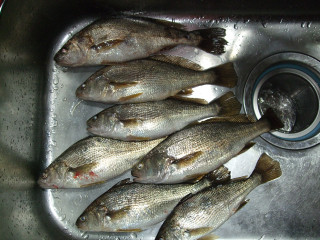 Dscf6463
